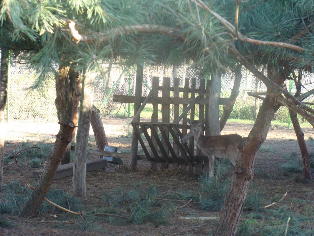 Gospodarstwo Agroturystyczne Ania I Filip Izabelin  Exterior photo